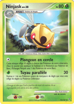 Ninjask (Platine Vainqueurs Suprêmes 73)