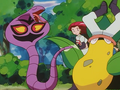 Arbok (de Jessie) et Empiflor (de James)