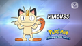 Quel est ce Pokémon ? C'est Miaouss !