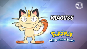 FR - QECP XY42.png