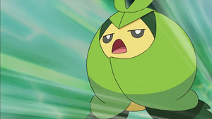 NB056 - Couverdure de Sacha.png