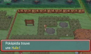 Route 113 Huile ROSA.png