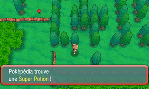 Route 116 Super Potion ROSA.png