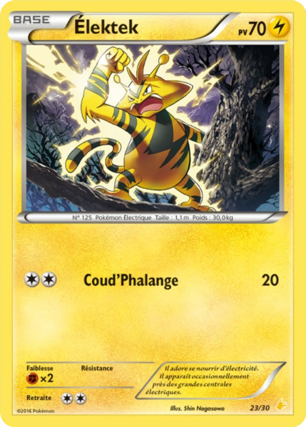 Fichier:Carte XY Kit du Dresseur Pikachu Catcheur 23.png