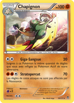 Chapignon (XY Poings Furieux 50)