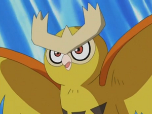 EP271 - Noarfang de Sacha.png