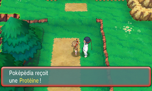 Route 115 Protéine ROSA.png