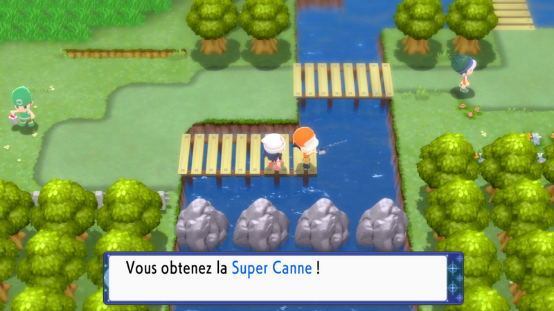Fichier:Route 209 Super Canne DEPS.png