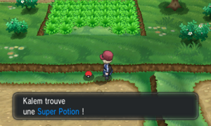 Route 22 Super Potion XY.png