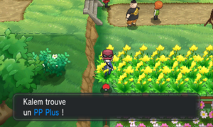 Route 7 PP Plus XY.png