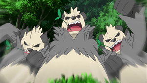 XY071 - Pandarbare.png
