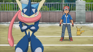 XY119 - Amphinobi de Sacha.png