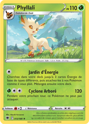 Carte Épée et Bouclier Astres Radieux 013.png