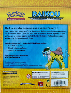 Collection avec pin's Raikou Verso.png