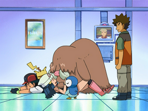 DP105 - Cochignon d'Aurore.png