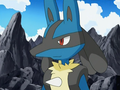 Lucario (d'Armand)