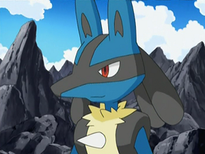 DP111 - Lucario d'Armand (Flash-back).png
