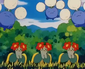 EP258 - Joliflor.png