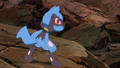 Riolu (de Sacha)