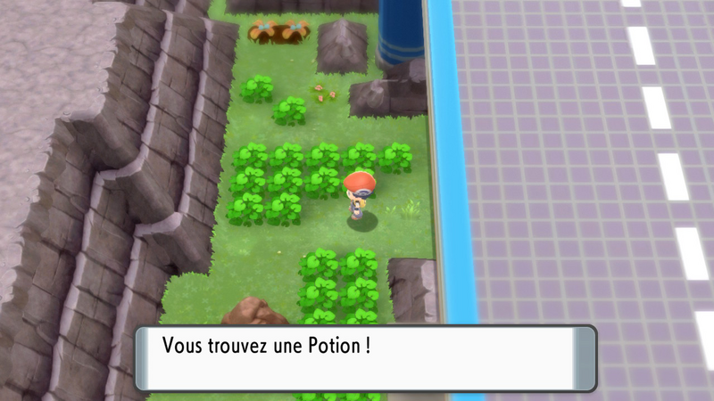 Fichier:Route 206 Potion DEPS.png