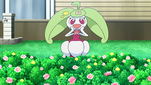 SL030 - Candine de Barbara.png