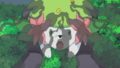 Shaymin