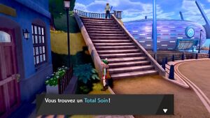 Skifford Total Soin EB.jpg