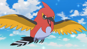 XY050 - Braisillon de Sacha.png