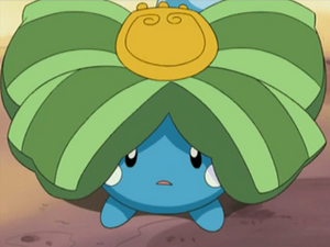 AG078 - Azurill d'un Dresseur.png