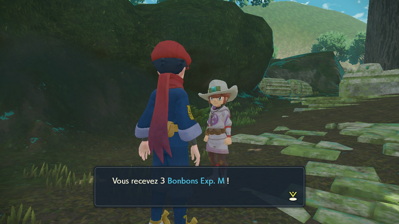 Fichier:Arène du Grand Arbre Bonbon Exp. M LPA.png