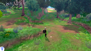 Forêt Flexion Objet Caché 9 EB.png