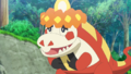 Crocogril (de Rhod)