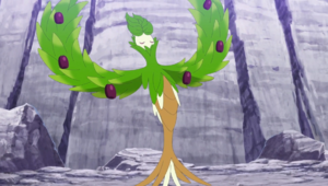 LH084 - Arboliva.png