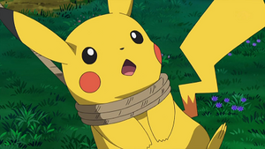 NB045 - Pikachu de Sacha.png