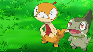 NB074 - Baggiguane de Sacha et Coupenotte d'Iris.png