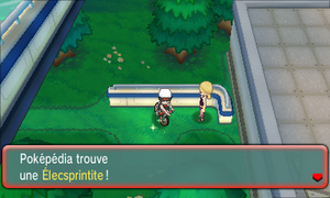 Route 110 Élecsprintite ROSA.png