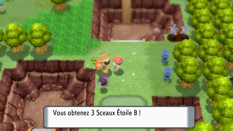 Fichier:Route 209 Sceau Étoile B DEPS.png