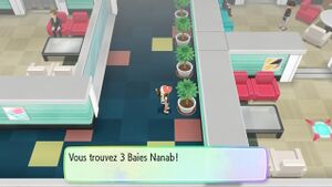Sylphe SARL Baie Nanab 6E LGPE.jpg