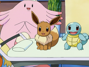 AG174 - Évoli et Carapuce de Flora.png