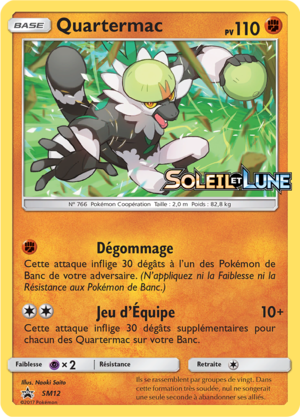 Carte Promo SM SM12.png