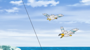 LH043 - Goélise.png