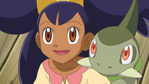 NB094 - Coupenotte d'Iris.png