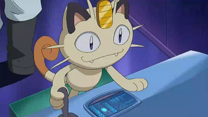 NB130 - Miaouss de la Team Rocket.png