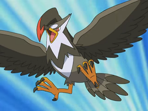 DP143 - Étouraptor de Sacha.png