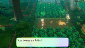 Forêt de Jade Potion LGPE.png