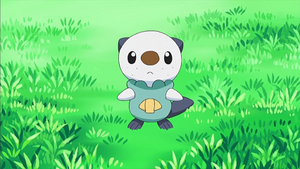 NB002 - Moustillon du Professeur Keteleeria.png