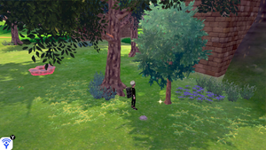 Prairie Entre-Ponts Objet Caché 11 EB.png