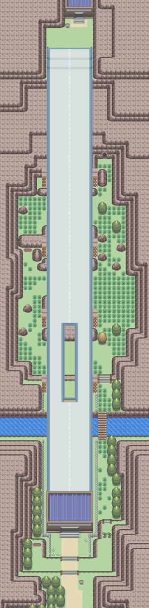 Route 206.png