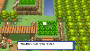 Route 225 Hyper Potion DEPS.png