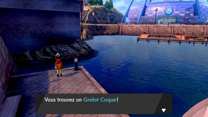 Fichier:Skifford Grelot Coque EB.jpg